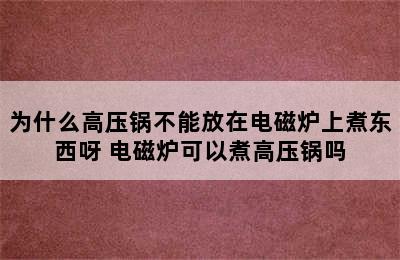 为什么高压锅不能放在电磁炉上煮东西呀 电磁炉可以煮高压锅吗